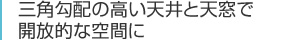 三角勾配の高い天井と天窓で開放的な空間に